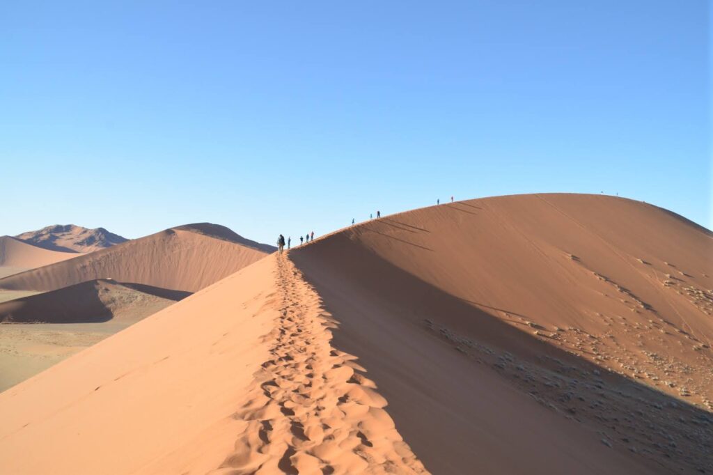 טיול לנמיביה ובוצואנה עם אמיר פלג- צילום של הדיונות במדבר