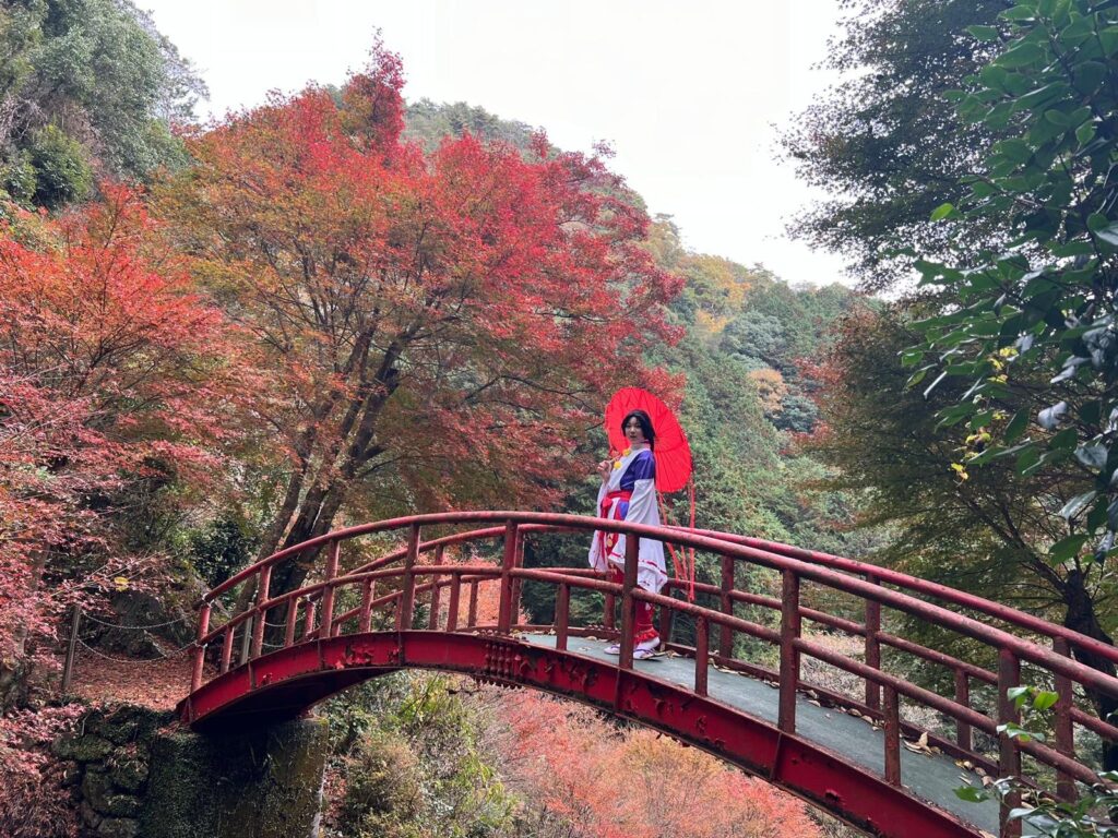 טיול ליפן - טיולים מאורגנים ליפן עם טיולים אחרים