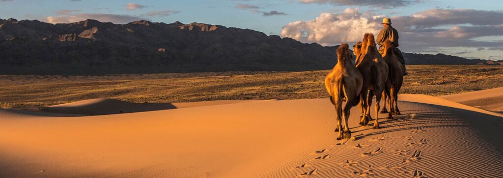 טיול למונגוליה - טיול מאורגן למדבר גובי במונגוליה