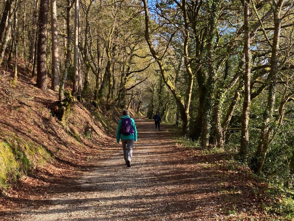 איך הגעתי לקמינו דה סנטיאגו… בטעות מושלמת