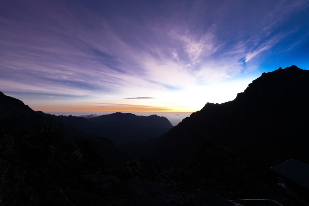 טרק באוגנדה - טרק ברכס הרוונזורי