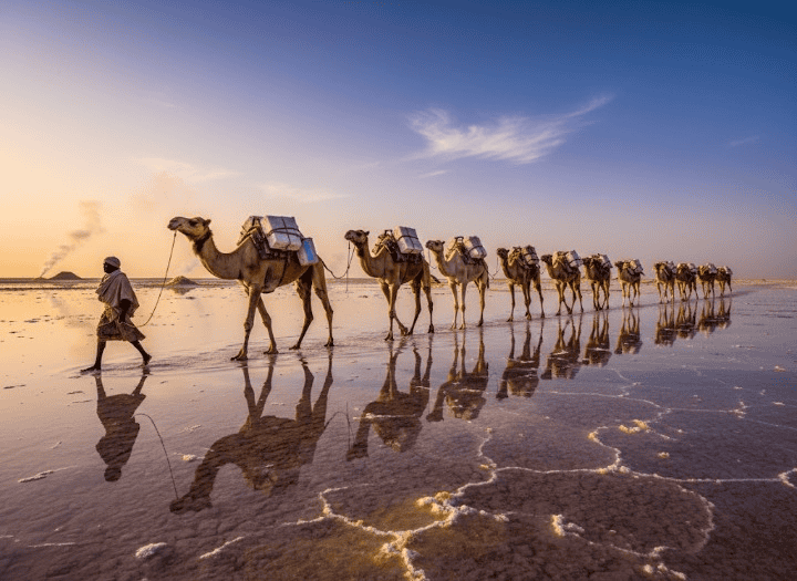 מסע לצפון אתיופיה: מדבר דנקיל, הרי תיגראי, ופסטיבל המסקל באקסום