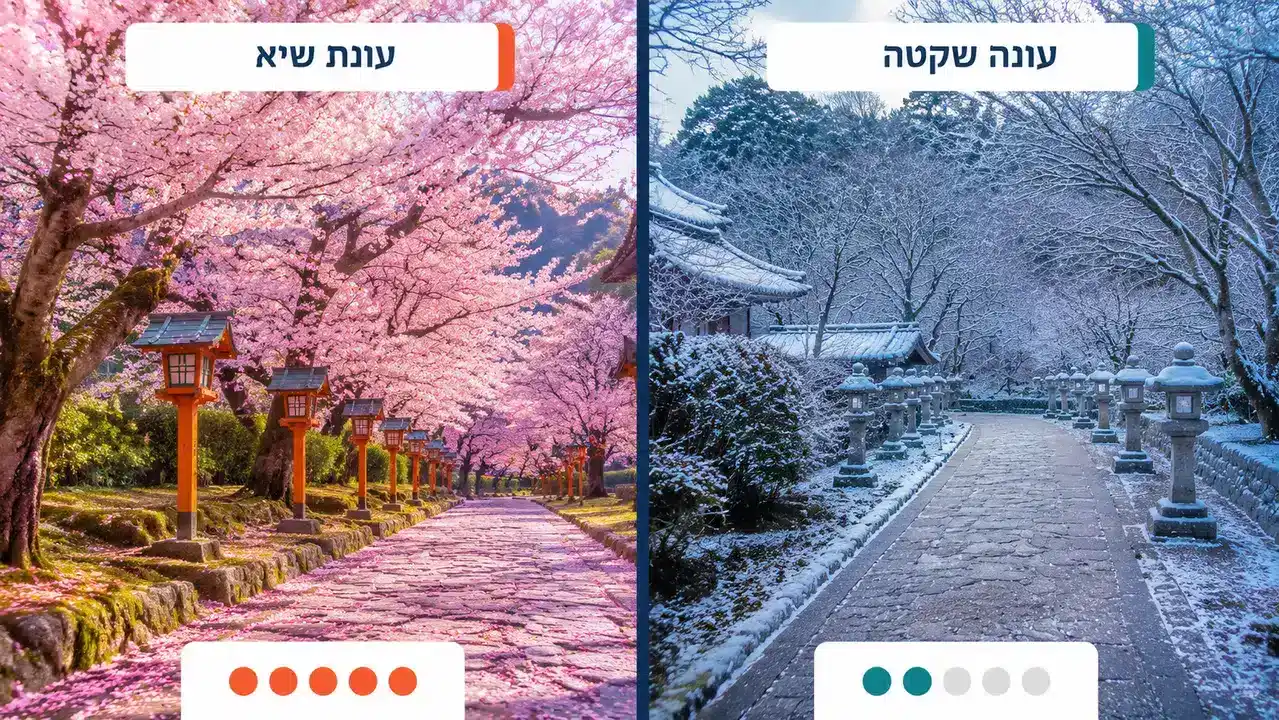 מזומן מול אשראי