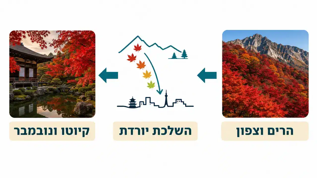 טייפונים. איך מתכננים עם סיכון מינימלי