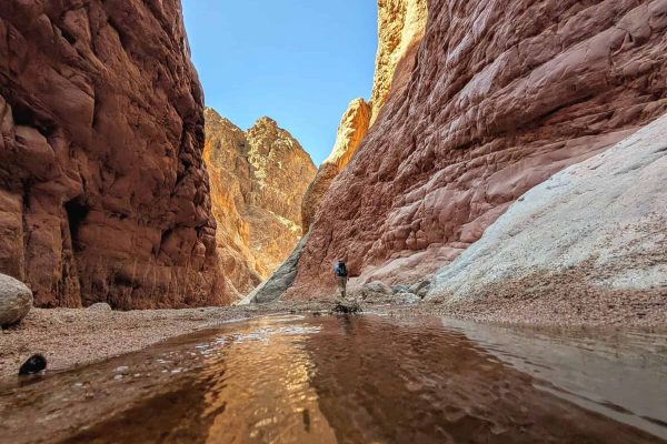 אסף אנטמן PXL_20250417_064752073~2