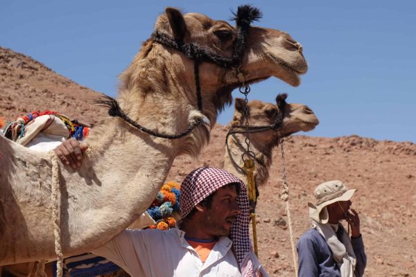 אסף אנטמן UM_SHUMAR-69