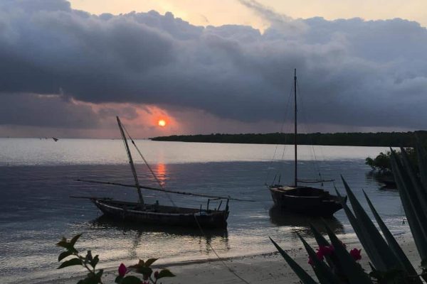 טיול מאורגן לטנזניה עם טיולים אחרים