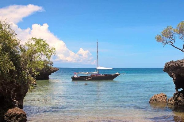 טיול לטנזניה - טרק בהרי אוּסָמְבָּרָה