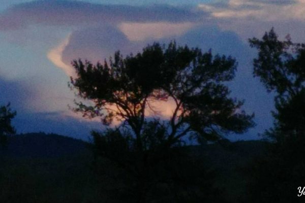 20170822_200217_Signature (1)