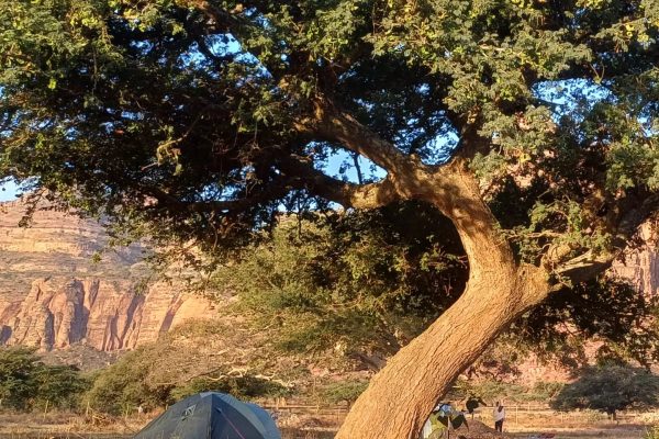 468305083_18078915289604508_6308053561318860978_n