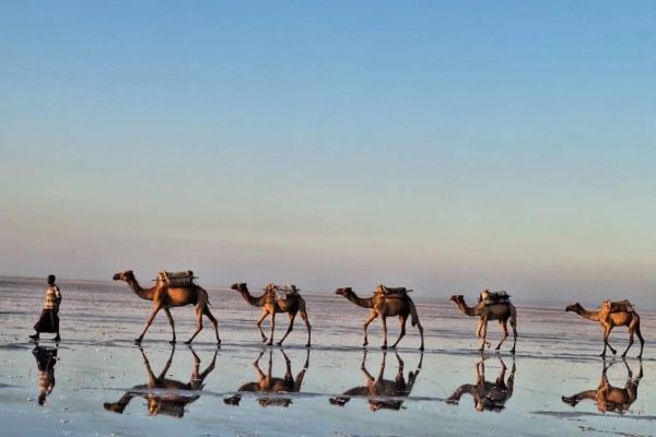 472667422_18086227138604508_7805038863464233379_n