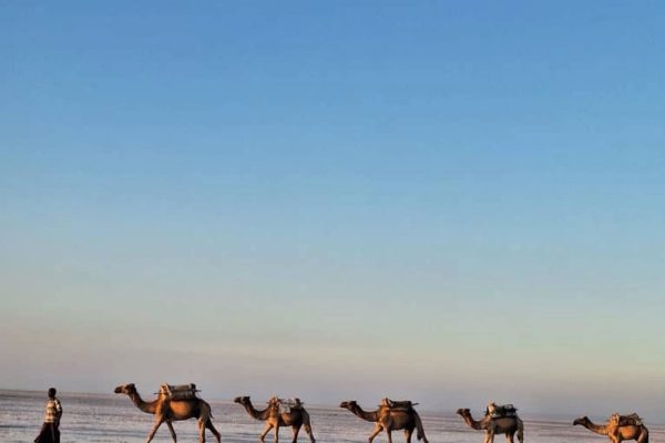 472667422_18086227138604508_7805038863464233379_n