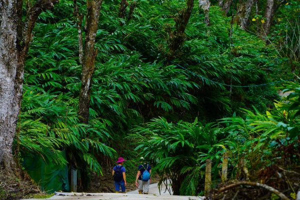 טיול מאורגן לקרלה