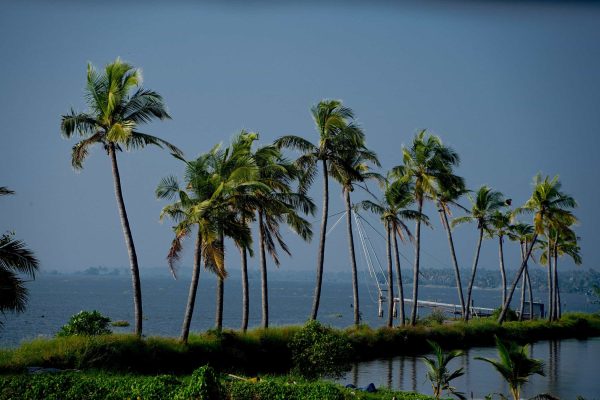בקווטרס קרלה