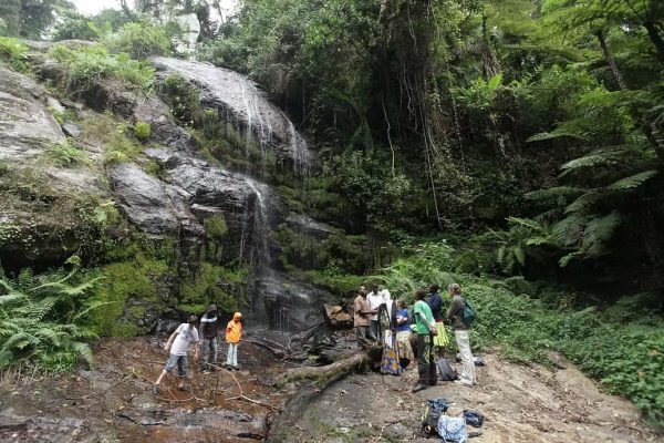 טיול לטנזניה - טרק בהרי אוּסָמְבָּרָה