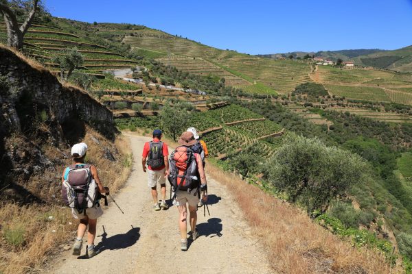 Heart and Soul of Douro (PGW) (14)