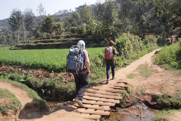 טיול לטנזניה - טרק בהרי אוּסָמְבָּרָה