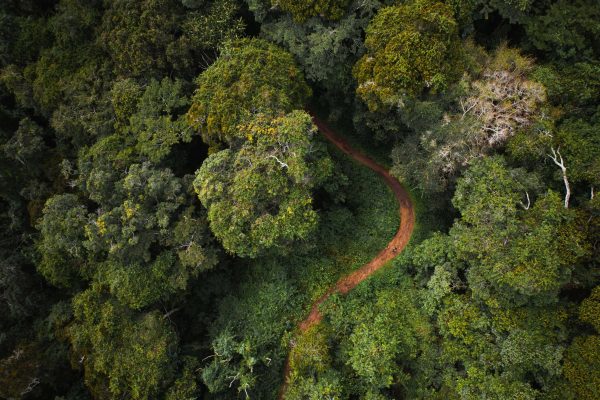 טיול מאורגן לטנזניה