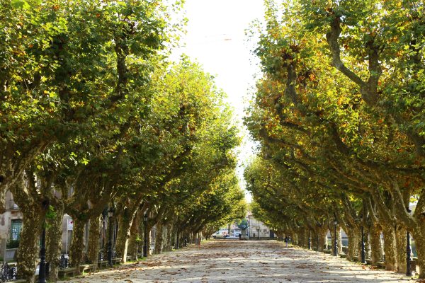 רכיבה קמינו דה סנטיאגו