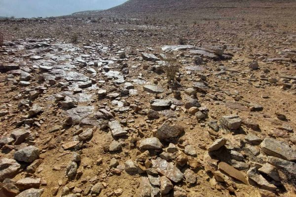 טיול ממצפה שלם דרך נחל תאנים ועד לעין גדי- אמיר פלג