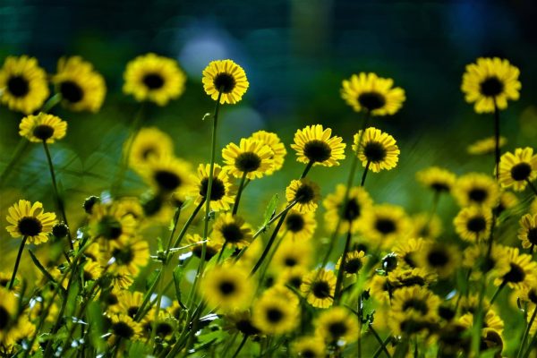 WhatsApp Image 2025-05-20 at 09.26.31 (1)