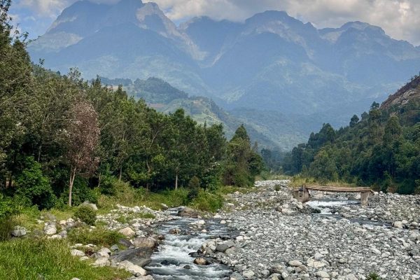 WhatsApp Image 2025-11-10 at 15.43.55