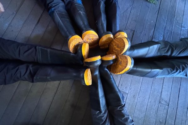 WhatsApp Image 2025-11-10 at 15.48.39