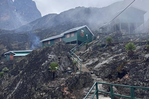 WhatsApp Image 2025-11-10 at 15.52.56