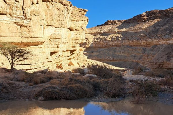 WhatsApp Image 2026-01-13 at 11.27.58