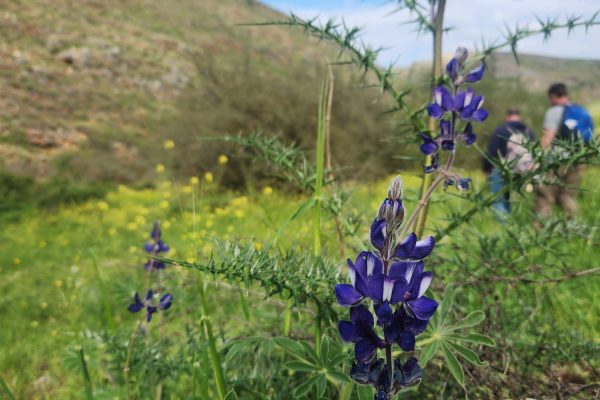 WhatsApp Image 2026-01-13 at 11.29.37