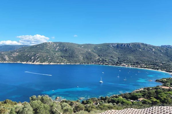 WhatsApp Image 2026-02-12 at 08.45.04