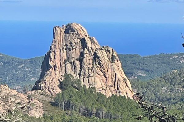 WhatsApp Image 2026-02-12 at 08.51.08 (2)