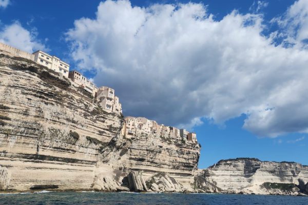 WhatsApp Image 2026-02-12 at 08.53.52