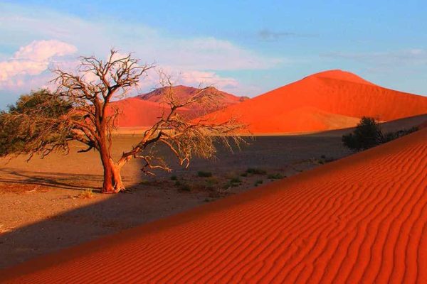 namibia1 (1)