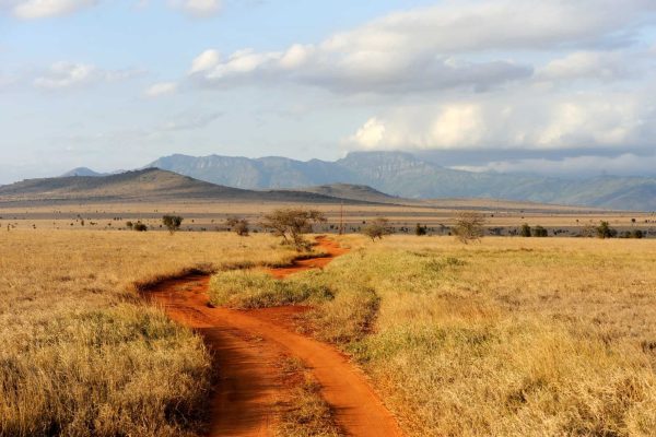 savannah-landscape-national-park-kenya-africa