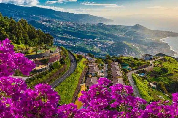 tzoo.125196.0.1131763.Funchal_Madeira_iStock